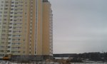 IMAG1363.jpg