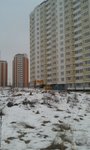 IMAG1303.jpg