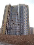 P8021975_1.jpg