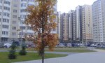 20141009_184113.jpg