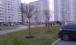 20141009_183946.jpg