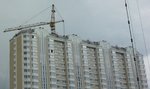 7 roof.jpg