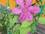 DSCN5959.JPG