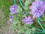 DSCN5960.JPG