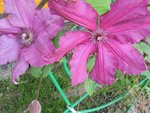 DSCN5961.JPG