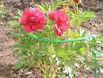 DSCN6027.JPG