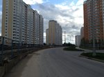 IMG_8363.jpg