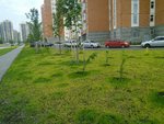 IMG_20160615_153244~2.jpg