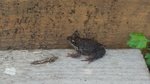 20160617_095435.jpg