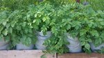 20160617_095444.jpg