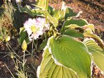 DSCN6395.JPG