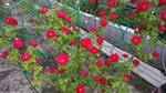 20160627_211504.jpg