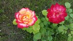 20160704_115832.jpg