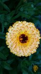 20160711_200944.jpg
