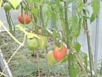 DSCN7043.JPG