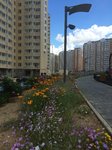IMG_6156.jpg