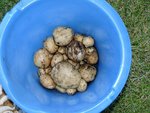 DSCN7149.JPG