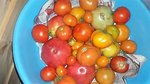 20160808_200725.jpg