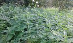 20160822_143713.jpg