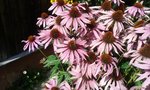 20160822_144133.jpg