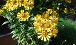 20160822_144126.jpg