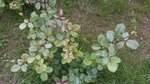 20160823_165619.jpg