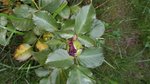20160823_165628.jpg