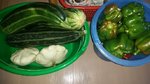 20160825_120251.jpg