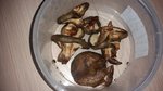 20160825_123017.jpg