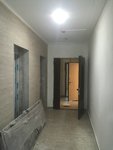 IMG_2240.jpg