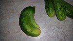 20160903_164842.jpg