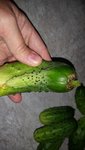 20160903_164849.jpg