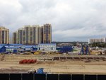 gallery_22057_3672_465381.jpg