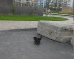 20160906_181740.jpg