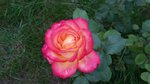 20160907_172609.jpg