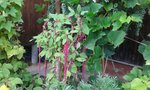 20160822_143250.jpg