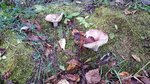 20160909_120656.jpg