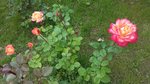 20160909_163612.jpg