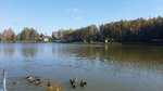 20161001_113137.jpg