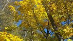 20161001_114516.jpg
