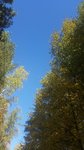 20161001_115709.jpg