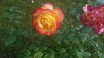 20161001_122433.jpg
