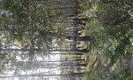 20161001_141412.jpg