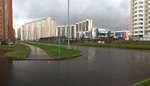 п2.jpg
