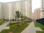 IMG_9449.jpg