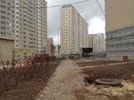 IMG_9451.JPG