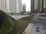 IMG_7614.jpg