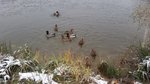 20161029_163222.jpg