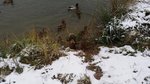 20161029_163216.jpg