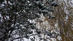 20161030_115858.jpg